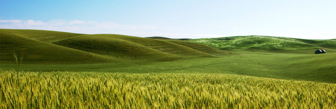 agricultura-produse-inovatoare