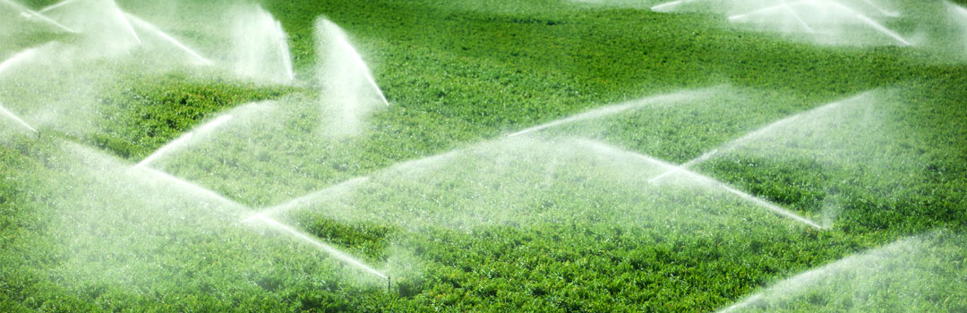 agricultura-sisteme-de-irigatii