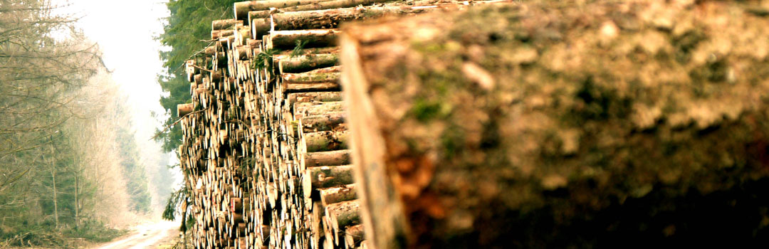 solutii-industriale-biomasa-biogaz